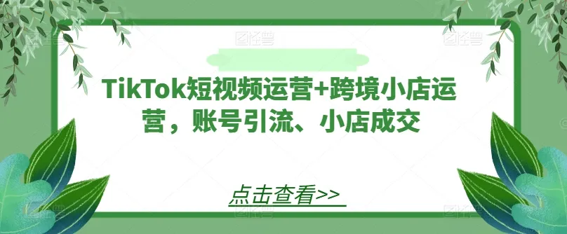 TikTok短视频运营+跨境小店运营,账号引流、小店成交-续财库