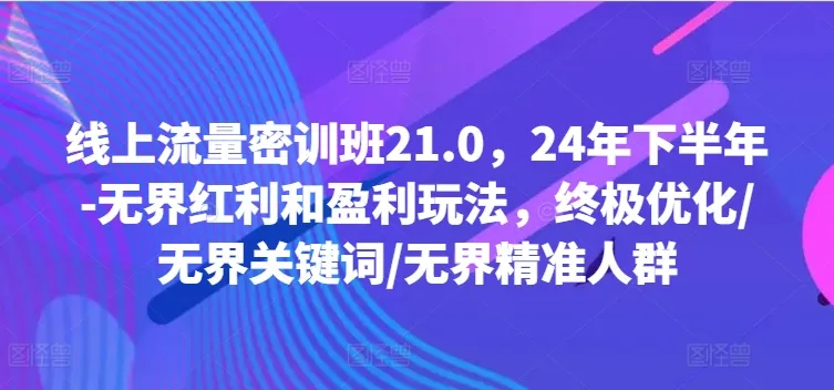 线上流量密训班21.0，24年下半年-无界红利和盈利玩法，终极优化/无界关键词/无界精准人群-续财库