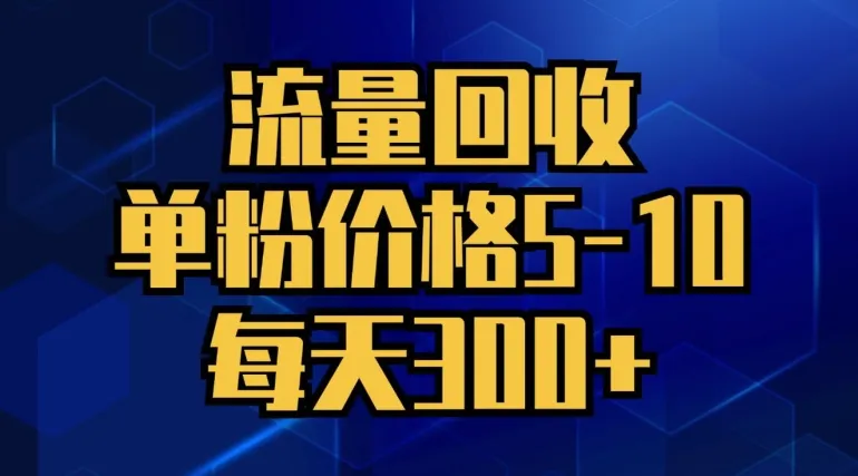 流量回收，单粉价格5-10，每天300+，轻松月入五位数-续财库