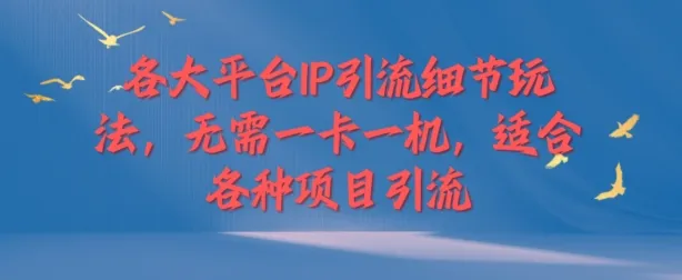 各大平台IP引流细节玩法，无需一卡一机，适合各种项目引流-续财库