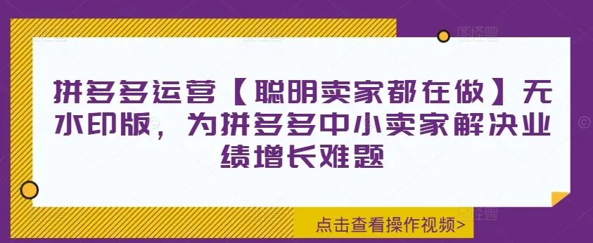 拼多多运营【聪明卖家都在做】无水印版,为拼多多中小卖家解决业绩增长难题-续财库