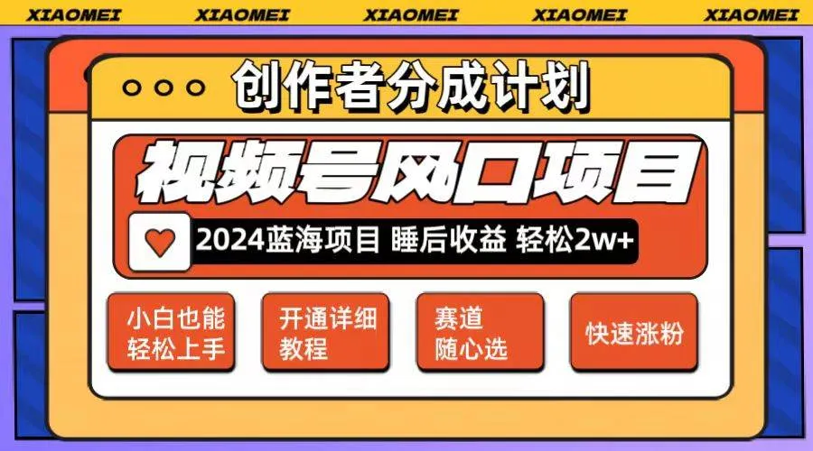 微信视频号大风口项目 轻松月入2w+ 多赛道选择，可矩阵，玩法简单轻松上手-续财库