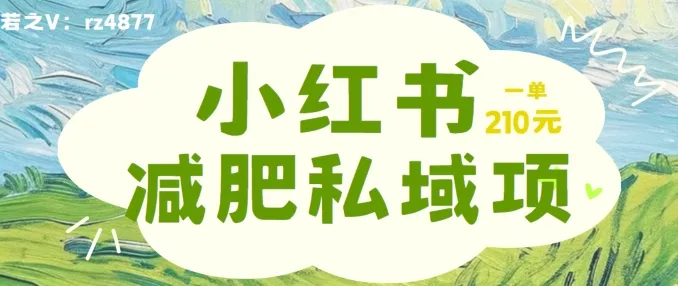 小红书减肥粉，私域变现项目，一单就达210元，小白也能轻松上手【揭秘】-续财库