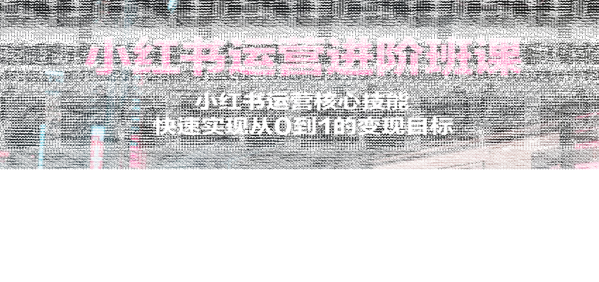 小红书运营进阶班课，小红书运营核心技能，快速实现从0到1的变现目标-续财库
