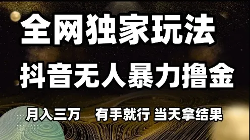 全网独家玩法抖音无人暴力撸金,月入3W,有手就行,当天拿结果【揭秘】-续财库