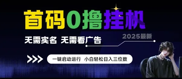 首码0撸挂G项目，无需实名无需看广告 一键启动运行，小白轻松日入三位数【揭秘】-续财库