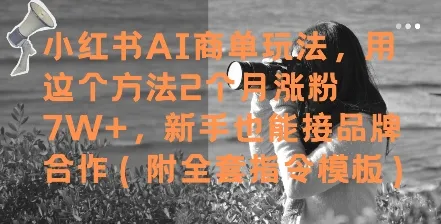小红书AI商单玩法，用这个方法2个月涨粉7W+，新手也能接品牌合作(附全套指令模板)-续财库