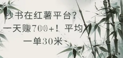 抄书在小红薯平台?平均一单30米,一天收益几张!-续财库