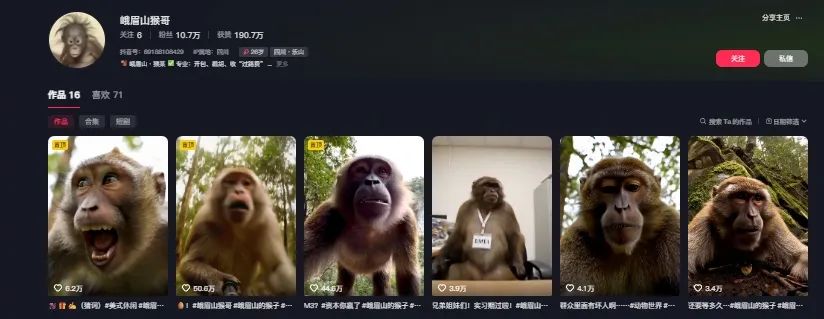 最新爆火的峨眉山猴子短视频制作教程，条条点赞10w+，谁做谁火【教程+提示词】