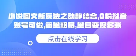 小说推文图文新玩法之动静结合，0粉抖音账号可做，简单粗暴，单日变现多张-续财库