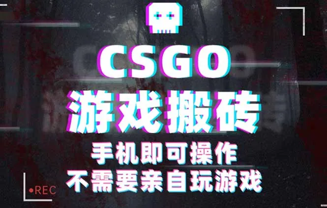 CSGO游戏挂机捡漏，单日扫货500+，年底小高峰上车可吃肉，手机即可操作...-续财库