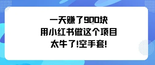 一天挣了9张用小红书做这个项目太牛了,空手套-续财库