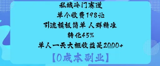 私域冷门赛道:单个收费198米引流模板简单人群精准转化45%单人一天大概收益是1k+-续财库