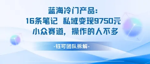 蓝海项目：16条笔记私域变现9750米小众赛道操作的人不多-续财库