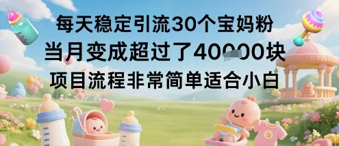 每天稳定引流30个宝妈粉当月变成超过了1W+项目流程非常简单适合小白-续财库