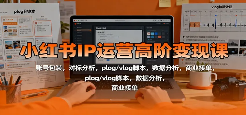 小红书IP运营高阶变现课：账号包装，对标分析，plog/vlog脚本，数据分析，商业接单-续财库