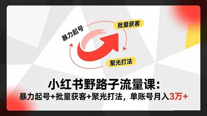小红书野路子流量课:暴力起号+批量获客+聚光打法,单账号月入3万+-续财库