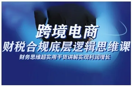 跨境电商财稅合规底层逻辑思维课,财务思维超实用于货讲解实现利润增长-续财库