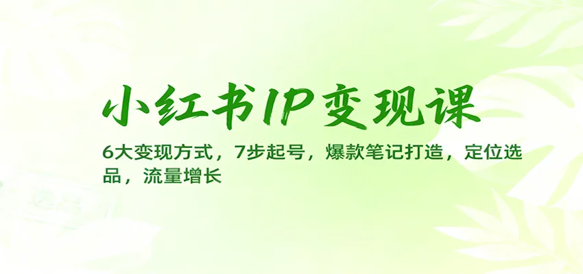 小红书IP变现课：6大变现方式，7步起号，爆款笔记打造，定位选品，流量增长-续财库