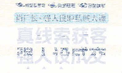 肖厂长·强人设IP私域大课11月深圳站大课(音频+字幕)-续财库