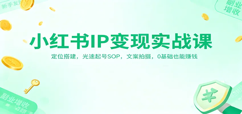 小红书IP变现实战课:定位搭建,光速起号SOP,文案拍摄,0基础也能赚钱-续财库