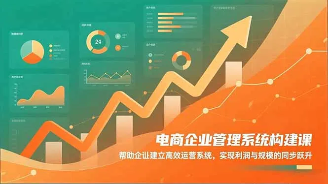 电商企业管理系统构建课：帮助企业建立高效运营系统，实现利润与规模的同步跃升-续财库