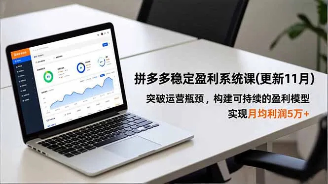 拼多多稳定盈利系统课(更新11月-续财库