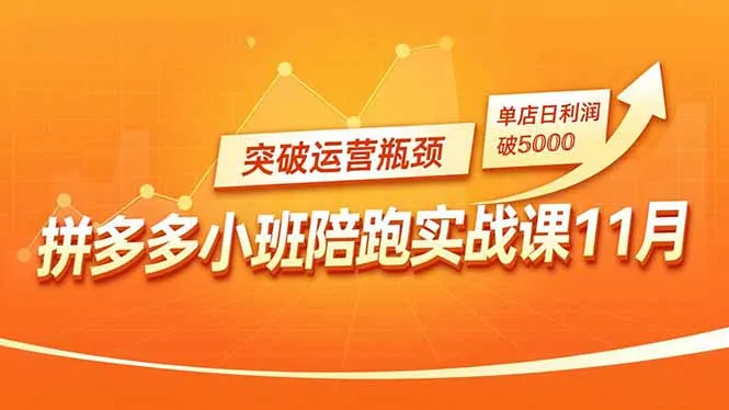 拼多多小班陪跑实战课11月，强付费矩阵、原价活动、暗券引流，突破运营瓶颈，单店日利润破5000-续财库
