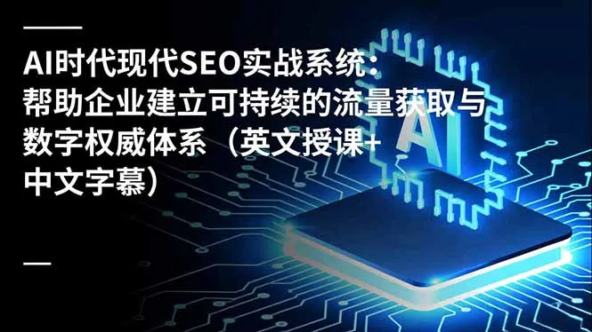 AI时代现代SEO实战系统：帮助企业建立可持续的流量获取与数字权威体系(英文授课+中文字幕-续财库