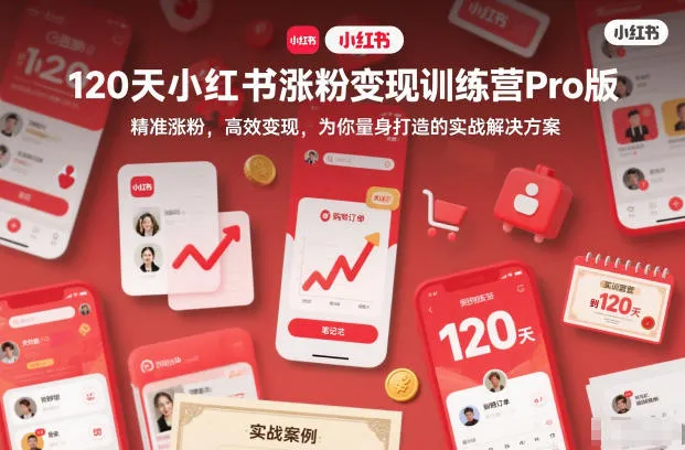120天小红书涨粉变现训练营Pro版,精准涨粉,高效变现,为你量身打造的实战解决方案-续财库