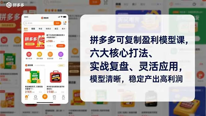 拼多多可复制盈利模型课，六大核心打法、实战复盘、灵活应用，模型清晰，稳定产出高利润-续财库