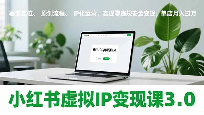 小红书虚拟IP变现课3.0，赛道定位、原创流程、IP化运营，实现零违规安全变现，单店月入过万-续财库