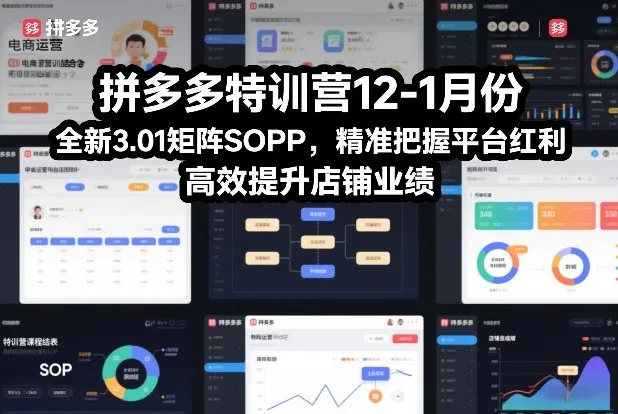 拼多多特训营12-1月份,全新3.01矩阵Sop,精准把握平台红利,高效提升店铺业绩-续财库