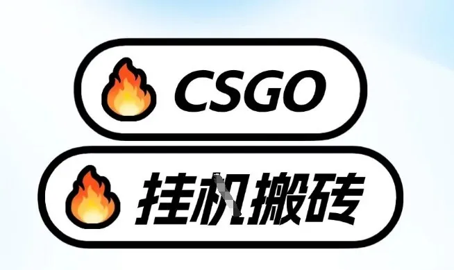 真全网独家CSGO挂G,最新玩法,单日捡漏1K+,不用电脑,不用打游戏【揭秘】-续财库
