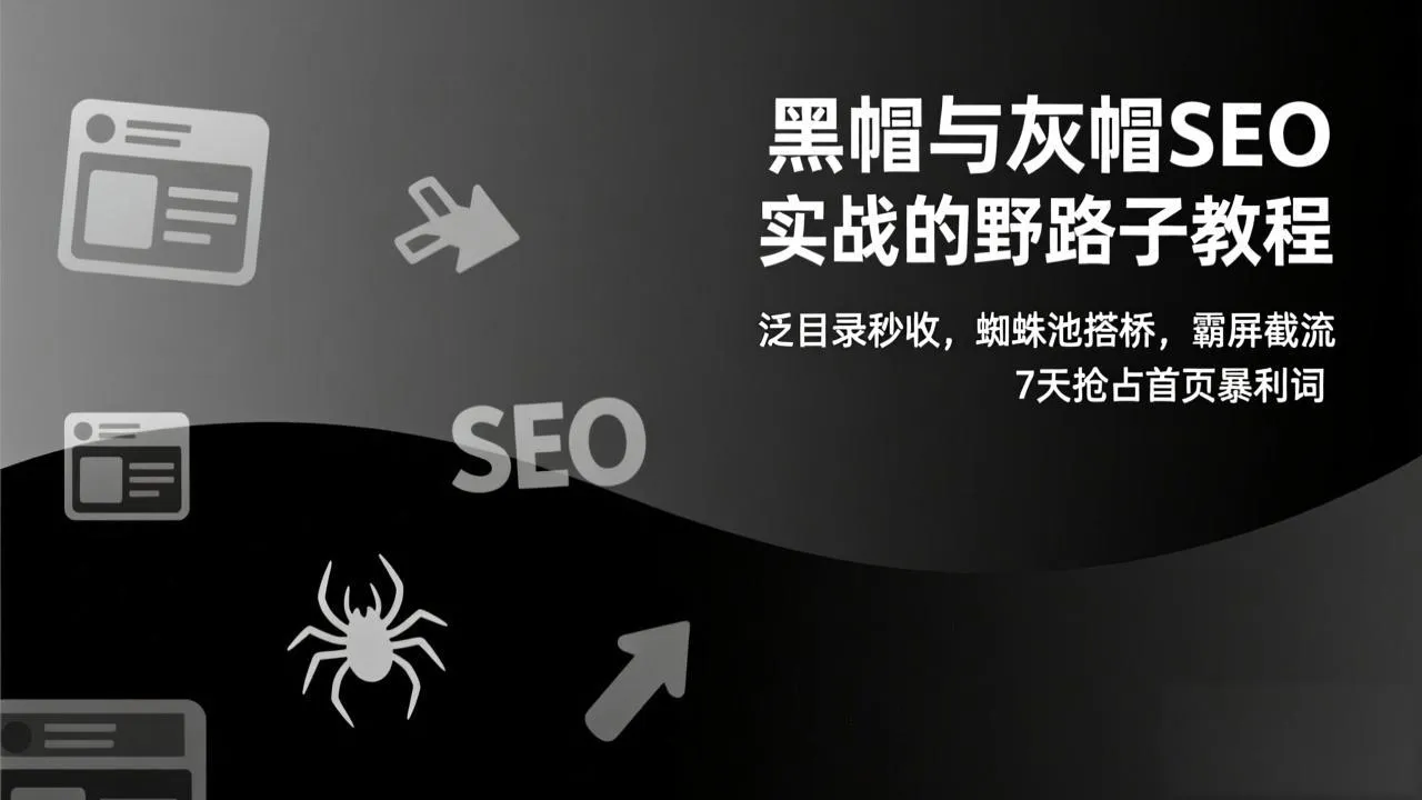 黑帽与灰帽SEO实战的野路子教程：泛目录秒收，蜘蛛池搭桥，霸屏截流，7天抢占首页暴利词-续财库