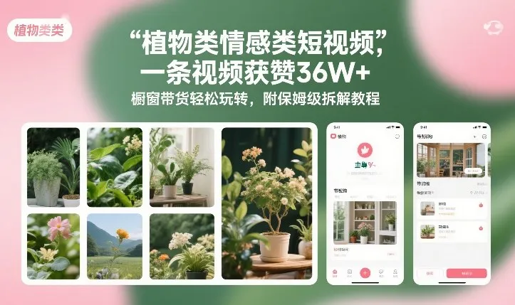植物类情感类短视频，一条视频获赞36W+，橱窗带货轻松玩转，附保姆级拆解教程-续财库
