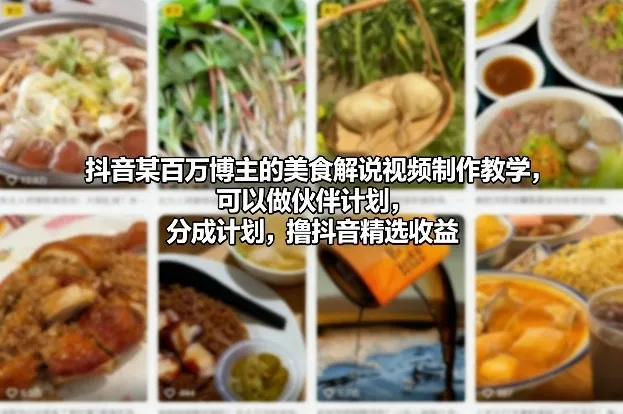 抖音某百万博主的美食解说视频制作教学,可以做伙伴计划,分成计划,撸抖音精选收益(更新)-续财库