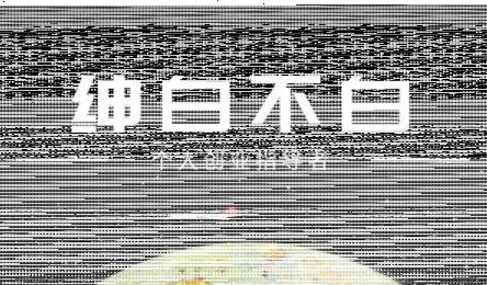 绅白不白·小红书虚拟店铺，IP打法+原创商品(更新2026)-续财库