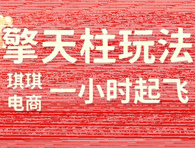 琪琪电商·拼多多擎天柱玩法(更新2月)-续财库