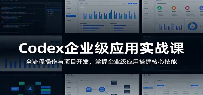 Codex企业级应用实战课:全流程操作与项目开发,掌握企业级应用搭建核心技能-续财库