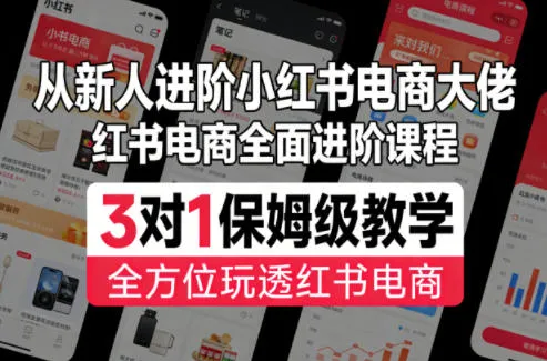从新人进阶小红书电商大佬,红书电商全面进阶课程,3对1保姆级教学,全方位玩透红书电商-续财库