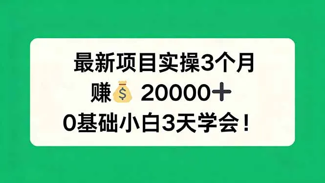 最新项目实操3个月，赚钱20000+，0基础小白3天学会！-续财库