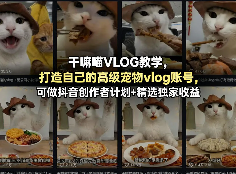 干嘛喵VLOG教学，打造自己的高级宠物vlog账号，可做抖音创作者计划+精选独家收益-续财库