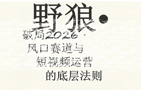 野狼团队·多平台实操运营课(更新4月)-续财库