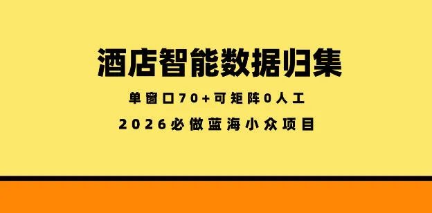 酒店智能数据归集，小众蓝海已经稳定半年之久，单窗口70+零成本矩阵开干【揭秘】-续财库