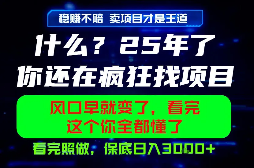 26年，请不要疯狂的找项目做了！卖项目才是真的稳賺不赔，看完照做，保底日入1k+【揭秘】-续财库
