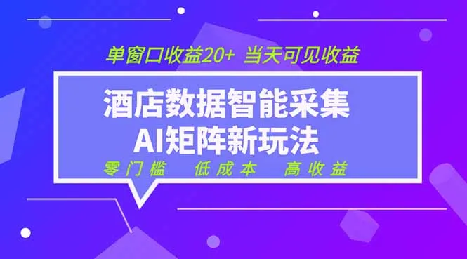 2026酒店数据采集ai智能矩阵新风口  低成本   高收益   当天见收益   单窗口20+-续财库