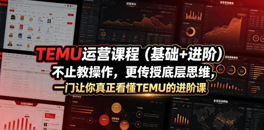 TEMU运营课程(基础+进阶),不止教操作,更传授底层思维,一门让你真正看懂TEMU的进阶课-续财库