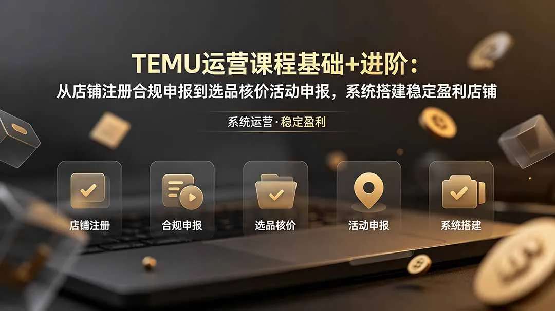 TEMU运营课程(基础+进阶-续财库