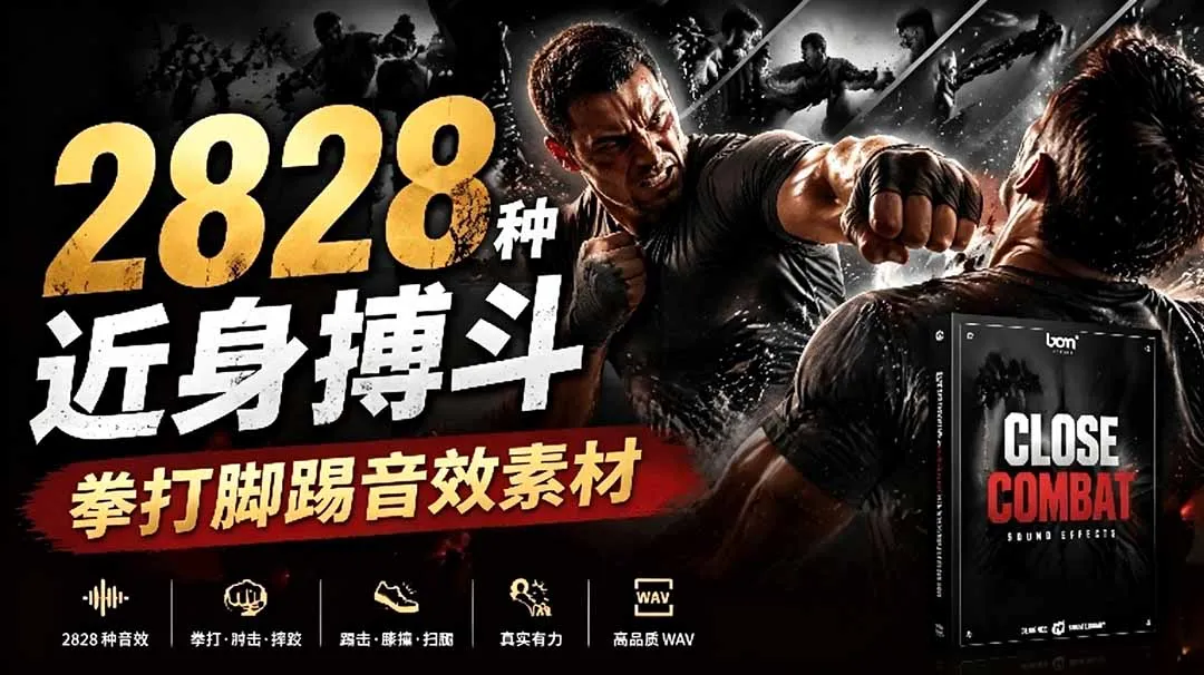 宝藏级别音效!2828种近身搏斗拳打脚踢音效素材,全部中文分类,免解压使用 Close Combat-续财库